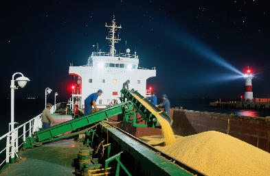 专业散装船服务：煤炭/矿石/粮食运输，全程无忧
